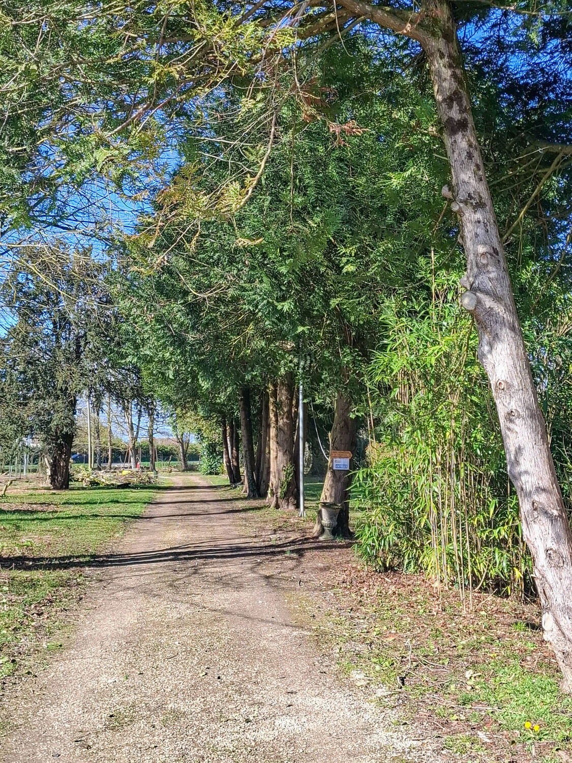 parc du chateau chambonnieres