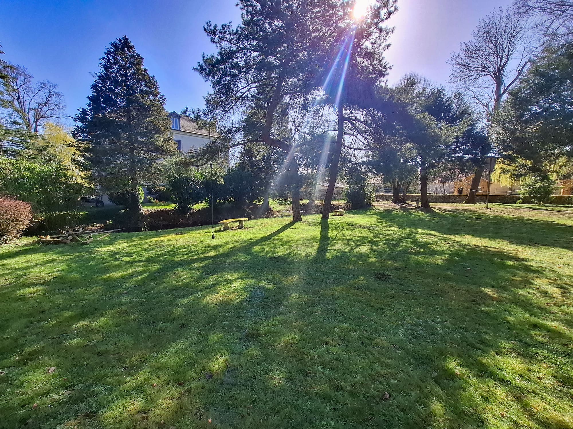 pelouse arbres parc chambonnieres