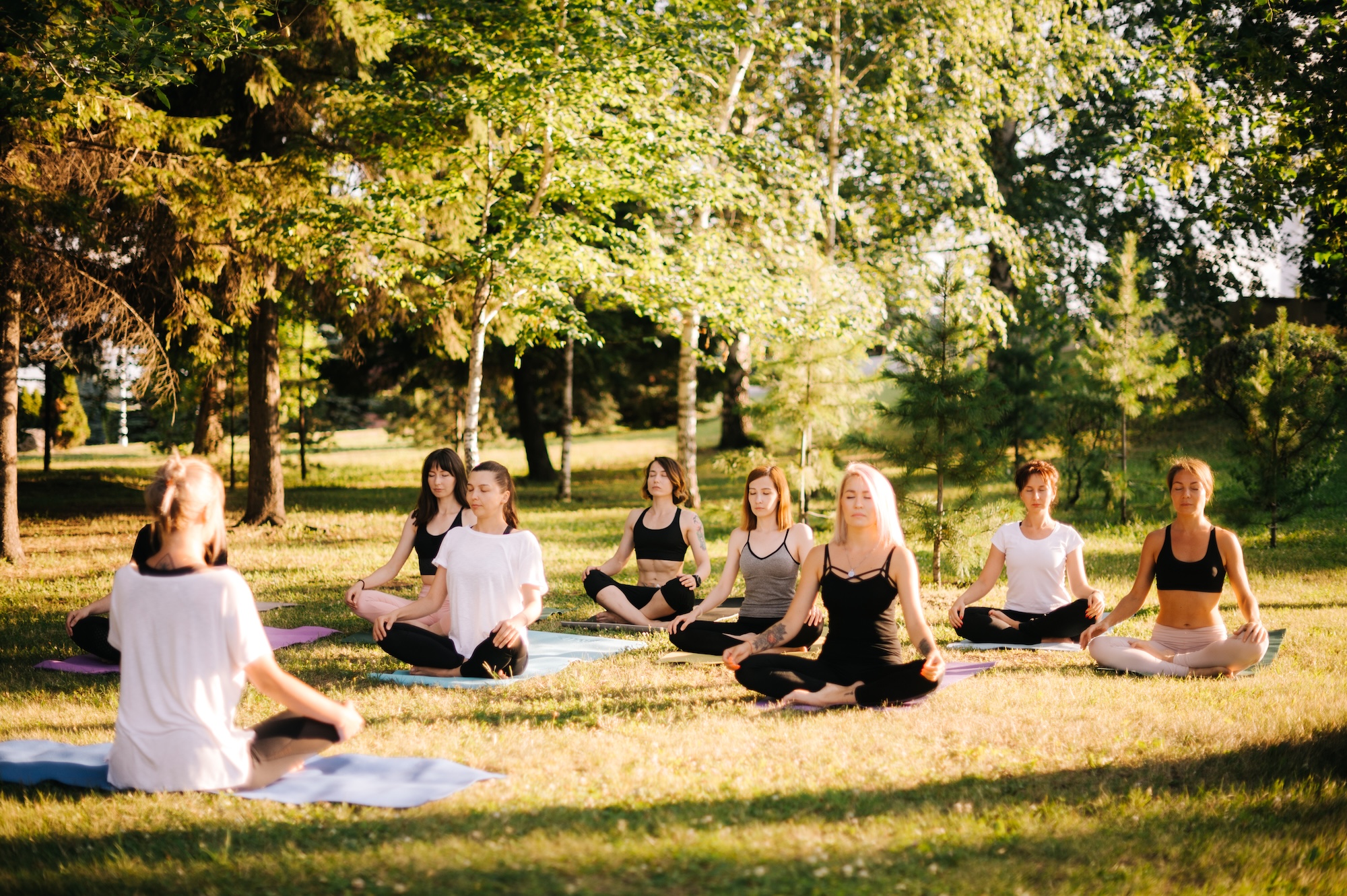 pension wellness chateau chambonnieres
