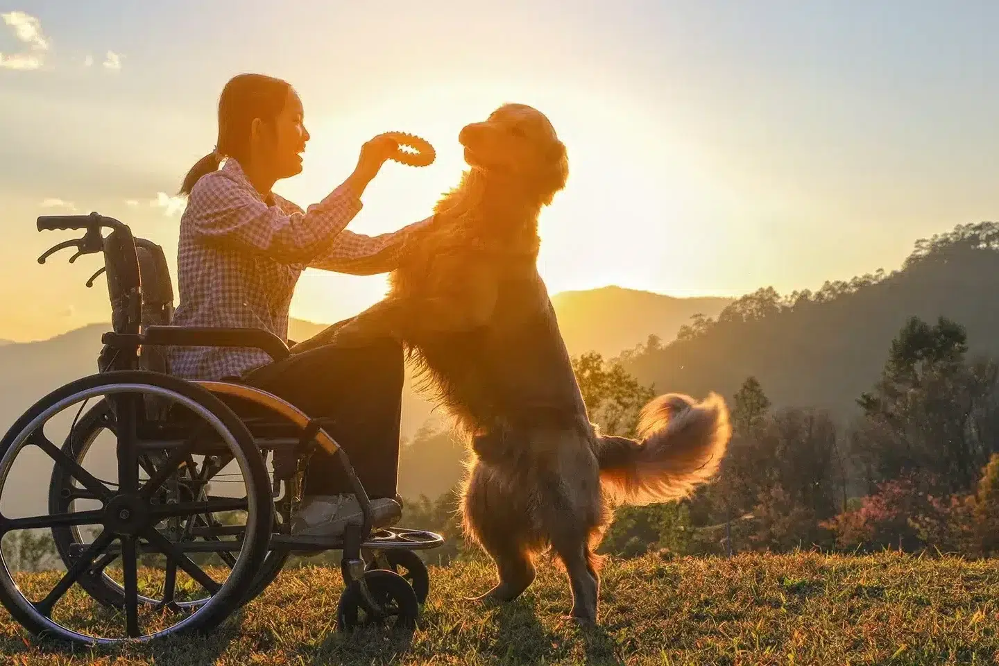 vacances pmr chambonniere